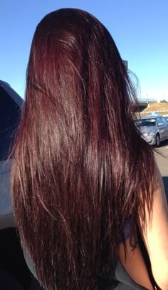 Dark Red Hair Straight, Red Undertones Hair, Wine Red Highlights In Brown Hair, Long Dark Red Hair, Red Hair No Bleach, Red Tint Hair, Straight Hair Haircuts, Pelo Color Vino, Red Purple Hair