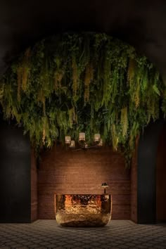 a fire place in the middle of a room with plants hanging from it's ceiling