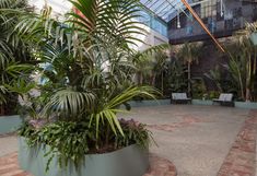 a large plant filled with lots of greenery next to a tall glass ceilinged building