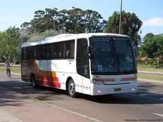 a white bus driving down a street next to trees