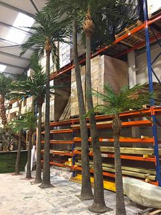 several palm trees in a warehouse with pallets stacked on the shelves and one man standing next to them