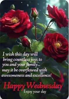 red roses with green leaves and the words happy wednesday