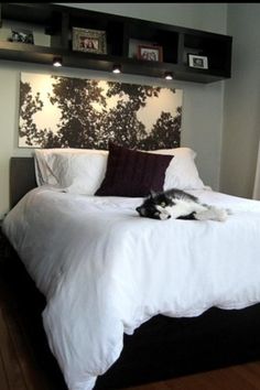 there is a bed with lights above it and a cat laying on the bed in front