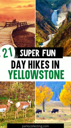 four pictures with the words, 21 super fun day hikes in yellowstone