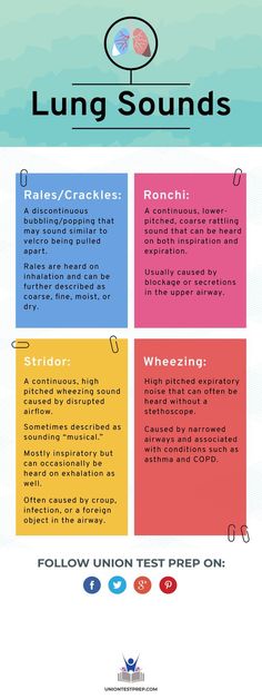 an info sheet with the words lung sounds written in different colors and font, on top of