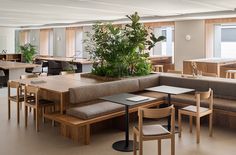 an office with tables, chairs and plants in the middle of the room on each side