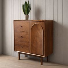 a wooden cabinet with a potted plant on top