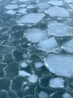 ice floes floating on the surface of water