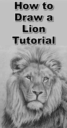 a drawing of a lion with the title how to draw a lion