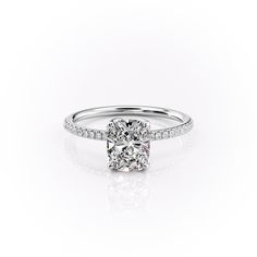 The Pave Lisa WG ECU Elongated Cushion, Lab Diamond Engagement Ring, Pave Band, Marquise Cut Diamond, Marquise Diamond, 3 Carat, Marquise Cut, 2 Carat, Engagement Ring Settings