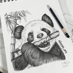 a drawing of a panda bear holding a bamboo stick in its mouth and chewing on the bamboo tree