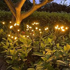 some lights that are sitting in the grass near trees and bushes with leaves on them