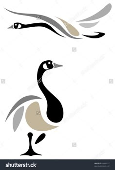 two black and white birds with long wings