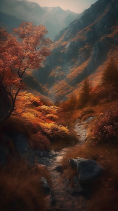 an image of a mountain scene with trees and rocks