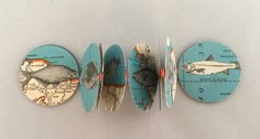 three magnets with different types of fish and landforms on them are shown in this photo