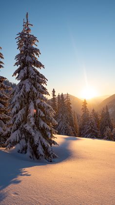 the sun shines brightly through the trees in the snow covered mountainside with pine trees