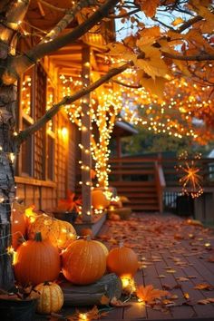 some pumpkins are sitting on the ground in front of a tree with lights hanging from it