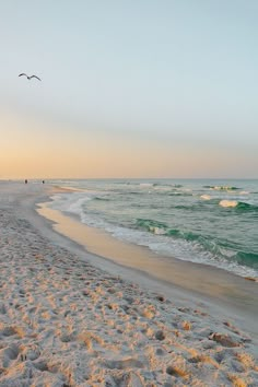 two birds flying over the ocean on a sandy beach at sunset with waves coming in