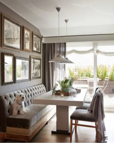 a dog sitting on a bench in the middle of a room with pictures hanging on the wall