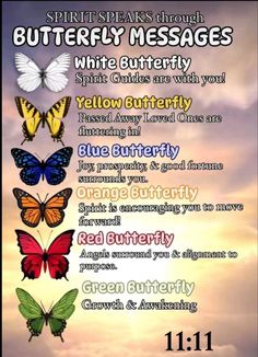 Heaven Facts, Butterfly Messages, Butterfly Meaning, Spirit Signs, Spirit Messages, Spiritual Awakening Signs, Curated Content, Butterfly Quotes