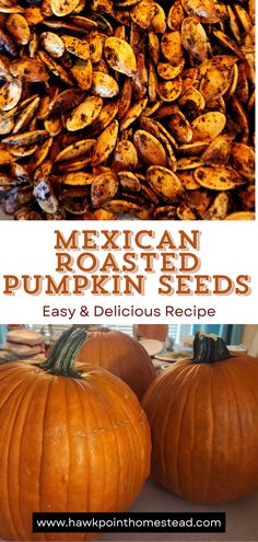 mexican roasted pumpkin seeds with text overlay