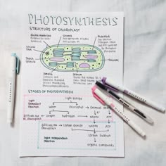 three markers are sitting on top of a sheet of paper