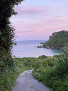 an empty path leading to the ocean on a sunny day with pink clouds in the sky