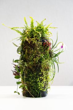 a vase filled with lots of plants on top of a table