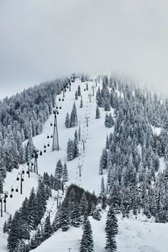 a ski slope covered in lots of snow next to evergreens and trees on a cloudy day