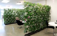 an office with plants growing on the wall