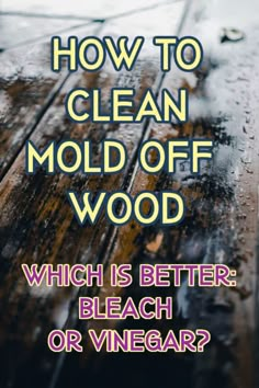 the words how to clean mold off wood which is better bleach or vinegar?