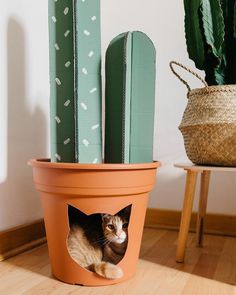 a cat sitting in a flower pot on the floor next to some cactus planters