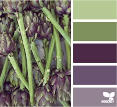 purple asparagus and green asparagus are the color palettes for this photo