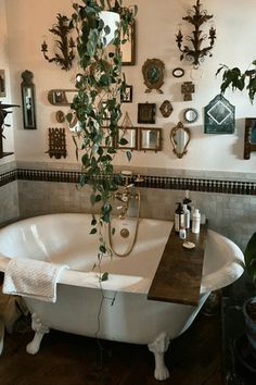 a bathroom with a claw foot tub, mirror and plants on the wall above it