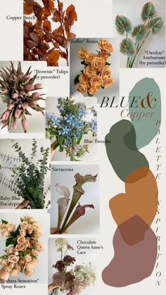 a collage of different types of flowers and plants with the words blue copper on them