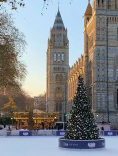 a christmas tree is in the middle of an ice rink with large buildings behind it