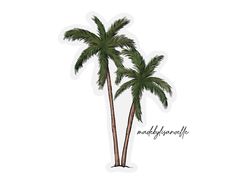 two palm trees on a white background