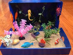 an aquarium filled with different types of plants and fish on top of sand in a blue box