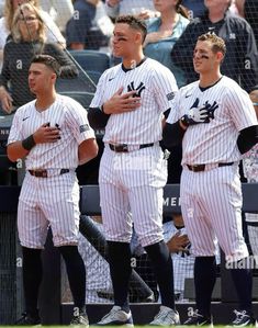 three baseball players standing in the dugout during a game - stock image, men's and women's