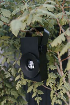 a black light is hanging from a tree with green leaves on the branches in front of it