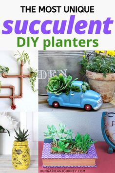 the most unique succulent diy planters