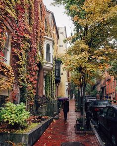 a person with an umbrella is walking down the street