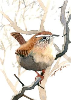 a watercolor painting of a bird perched on a tree branch with no leaves or branches