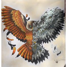 a drawing of an eagle flying through the air with its wings spread out and eyes open