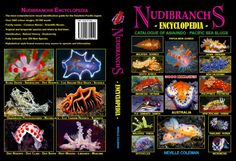 the book cover for nubranchs encyclopia, with pictures of sea animals