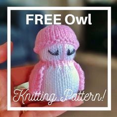 a small knitted owl sitting on top of a persons hand with the text free owl knitting pattern