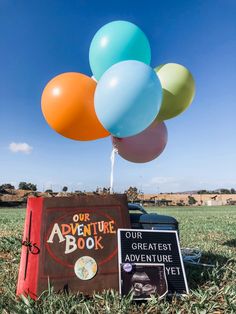 an adventure book and balloons are on display in the grass with a blue sky behind it