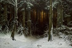 a painting of snow covered trees in a forest