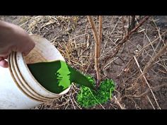 a person is pouring green liquid into a white container with trees on the side and grass growing out of it