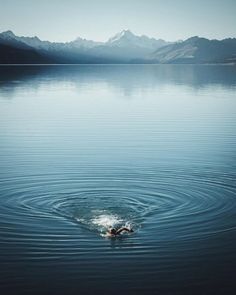 a person swimming in the middle of a lake with mountains in the backgroud